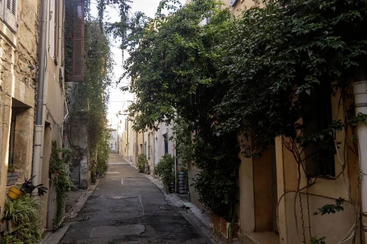 Agrandir l'image 3
