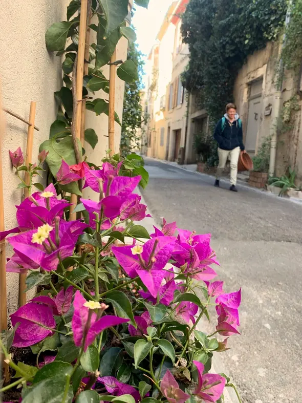 Agrandir l'image 2
