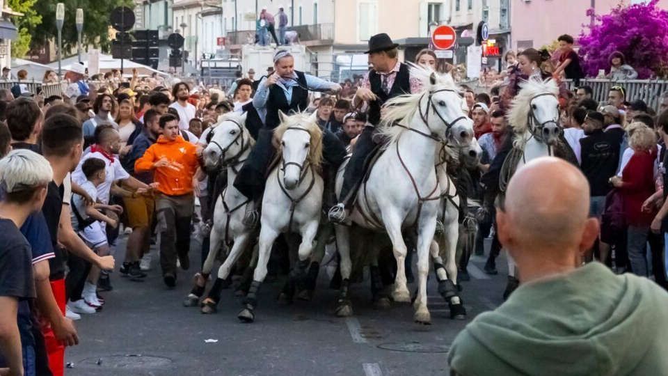 Agrandir l'image 1
