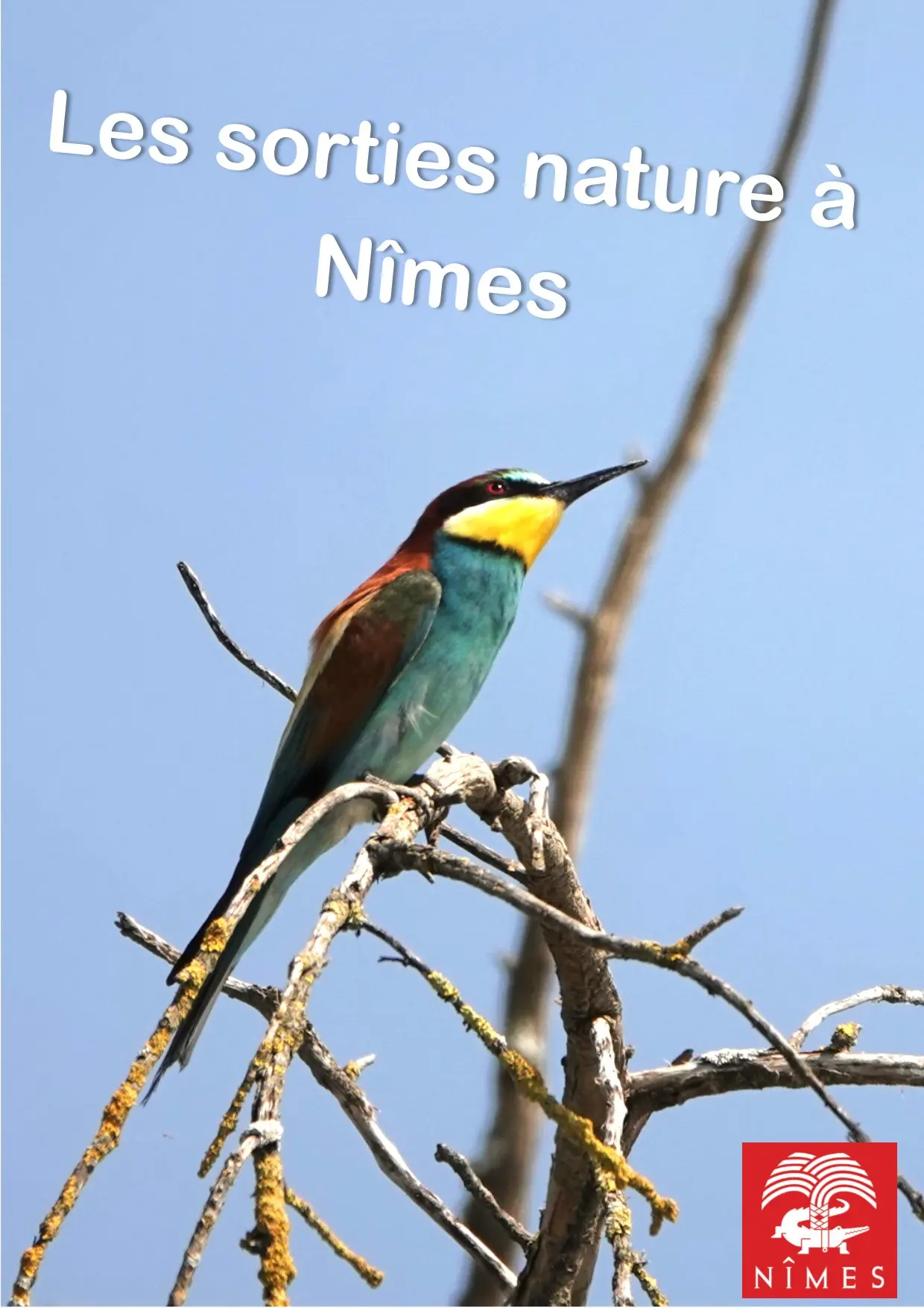 Ville de Nîmes: Sortie nature : Le réveil des oiseaux